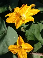 IMG_20220613_093208.webp