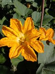 IMG_20220613_093151.jpg