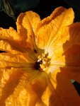 IMG_20220613_093257.jpg