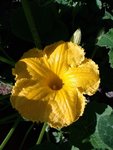 IMG_20220613_093229.jpg