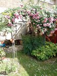 IMG_20220613_165425.jpg