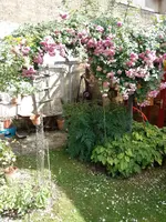 IMG_20220613_165425.webp