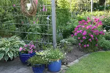 Juni      1922.webp