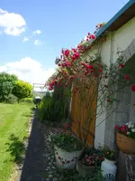 DSC02471.JPG