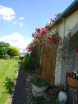 DSC02471.JPG