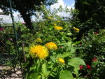 DSC02472.JPG