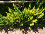 DSC02478.JPG
