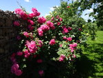 DSC02451.JPG