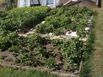 HPIM4328[1].webp