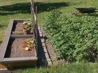 HPIM4330[1].webp