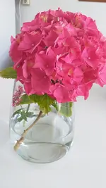 20220615_163321.webp