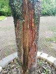 IMG_20220615_194123.jpg
