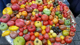 20140816_114231.webp