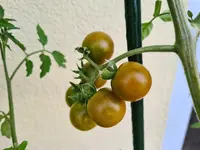 20220616_093155.webp