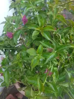 20220615_211855.webp