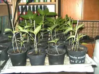 BILD2064.webp