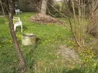 BILD2045.webp