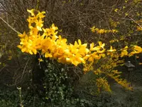 BILD2056.webp