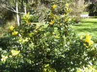 BILD2076.webp