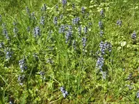 BILD2090.webp