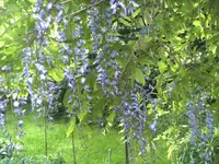 BILD2117.webp