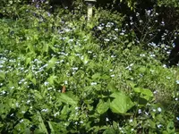 BILD2104.webp