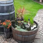 20220616_201803.webp