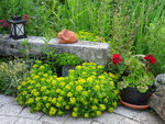 DSC02494.JPG