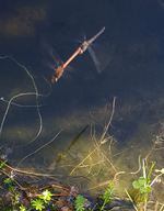 20191027_151419.webp