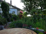 DSC02493.JPG