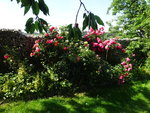 DSC02500.JPG