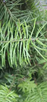 IMG_20220616_214029.webp