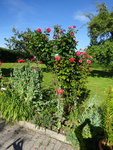 DSC02482.JPG