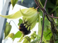 DSCF5194 (2).webp