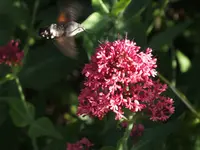 DSCF5204.webp