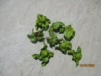 IMG_5484.webp
