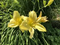 A66E7932-56AE-495E-B0DF-2EF447DFDDC1.webp