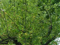IMG_20220617_171148.webp