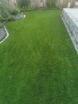 IMG_20220615_210546.jpg