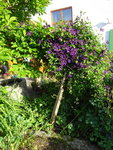 DSC02515.JPG