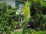 DSC02510.JPG