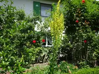 DSC02510.JPG
