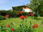 DSC02508.JPG
