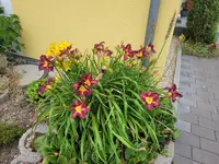 20220608_145229.webp
