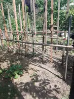 IMG_20220617_161829.webp