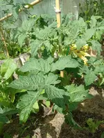 IMG_20220618_105131.webp