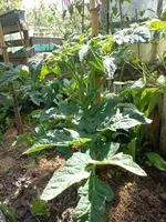 IMG_20220617_152636.webp