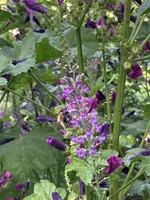IMG_1090(1).webp