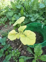 IMG_20220619_101248.webp