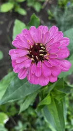 113728EC-C481-45EB-9883-D1903726E52E.webp